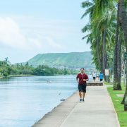 001 000 ハワイアンモナーク 短期バケレン コンドミニアム 宿泊 000 ハワイアンモナーク 短期バケレン コンドミニアム 宿泊